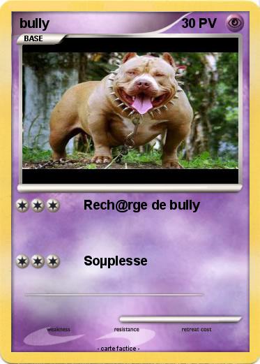 Pokemon bully