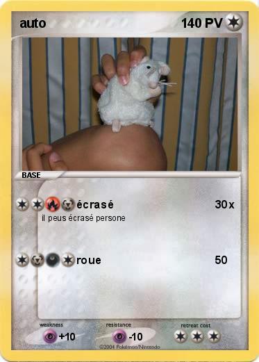 Pokemon auto