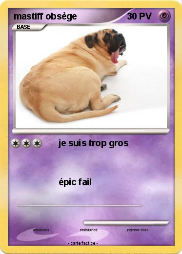 Pokemon mastiff obsège