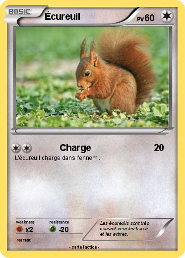 Pokemon Écureuil