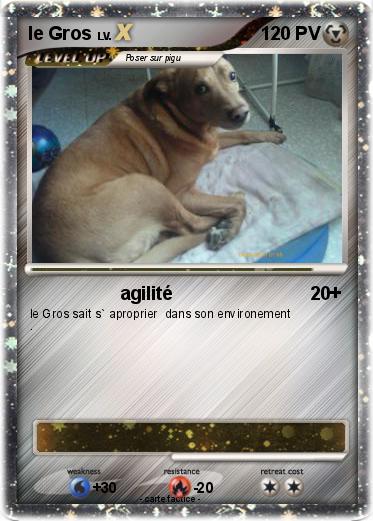 Pokemon le Gros