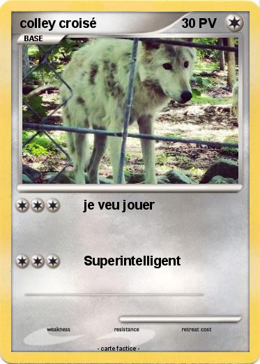 Pokemon colley croisé