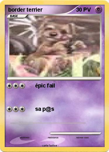Pokemon border terrier
