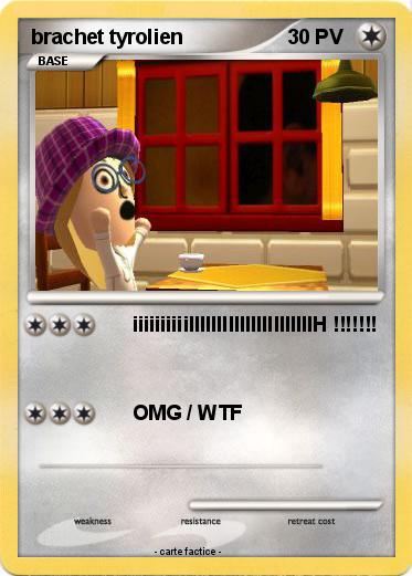 Pokemon brachet tyrolien