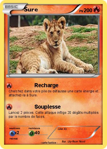 Pokemon Sure