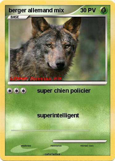 Pokemon berger allemand mix