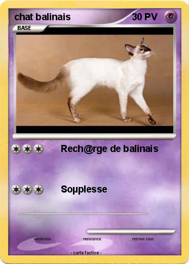 Pokemon chat balinais