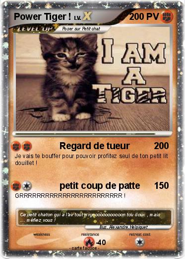 Pokemon Power Tiger !