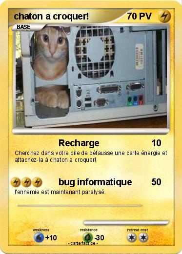 Pokemon chaton a croquer!