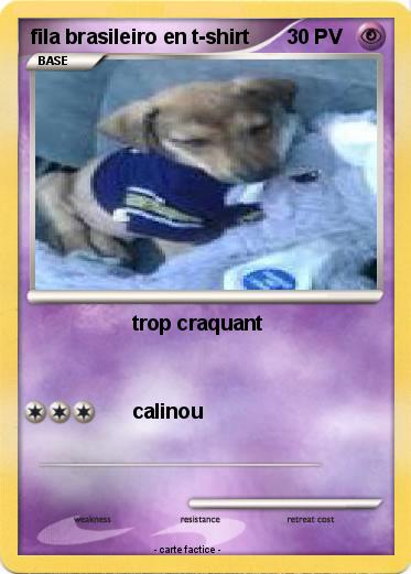 Pokemon fila brasileiro en t-shirt