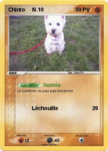 Pokemon Chinto     N.10