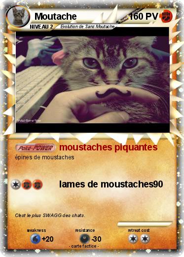 Pokemon Moutache