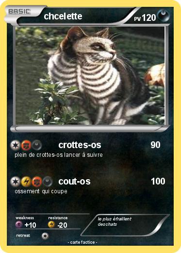 Pokemon chcelette