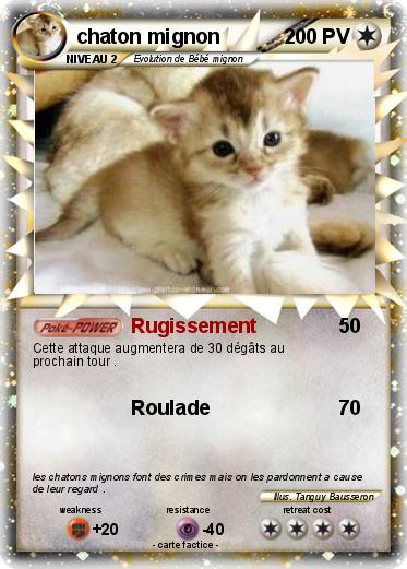 Pokemon chaton mignon