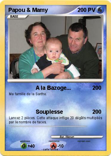 Pokemon Papou & Mamy