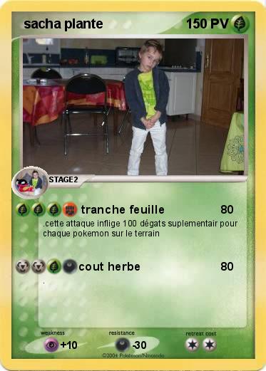 Pokemon  sacha plante