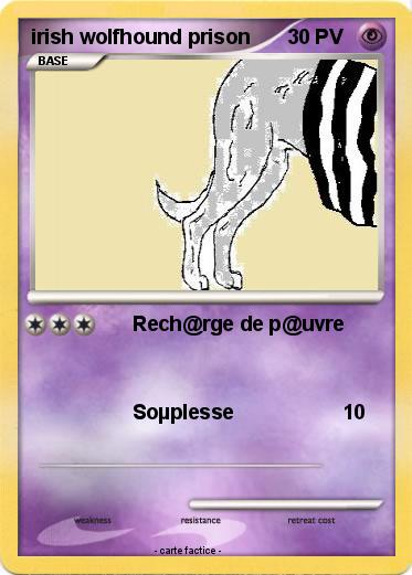 Pokemon irish wolfhound prison