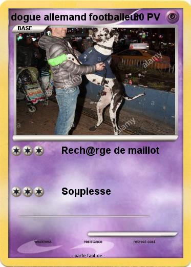Pokemon dogue allemand footballeur