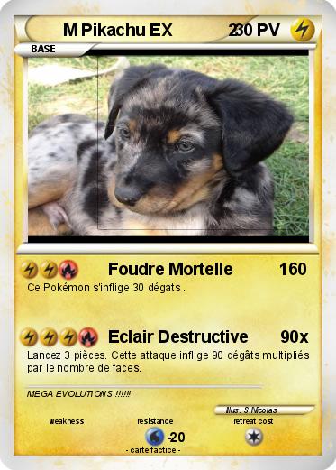 Pokemon M Pikachu EX            2