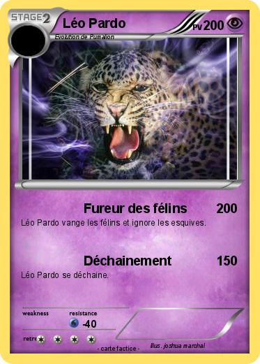 Pokemon Léo Pardo