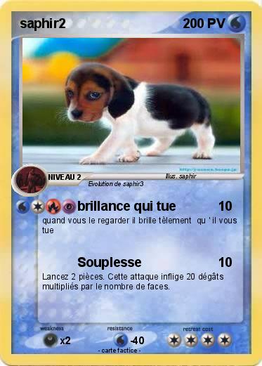 Pokemon saphir2