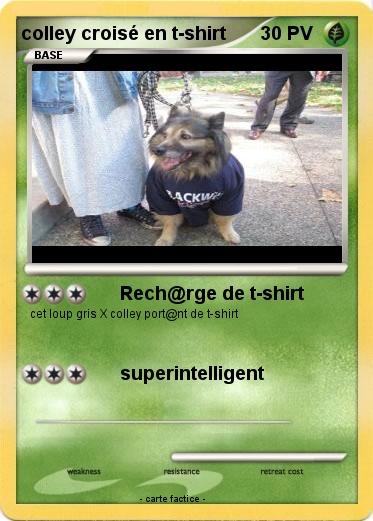 Pokemon colley croisé en t-shirt