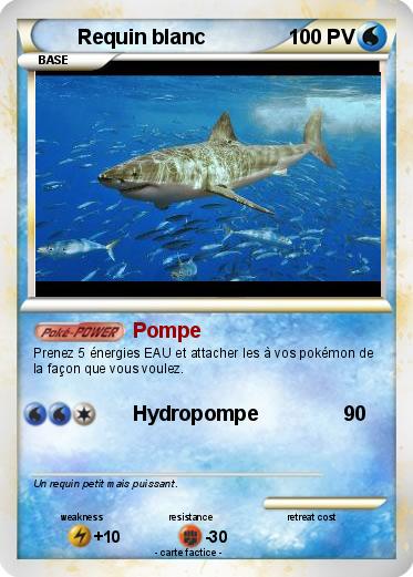 Pokemon Requin blanc