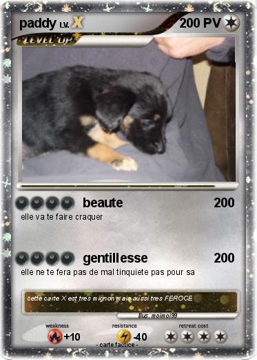 Pokemon paddy
