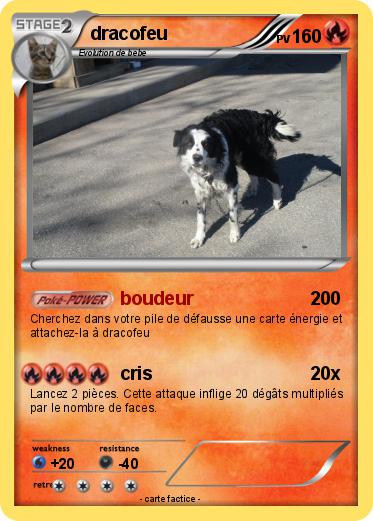 Pokemon dracofeu