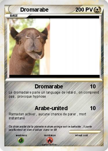 Pokemon Dromarabe
