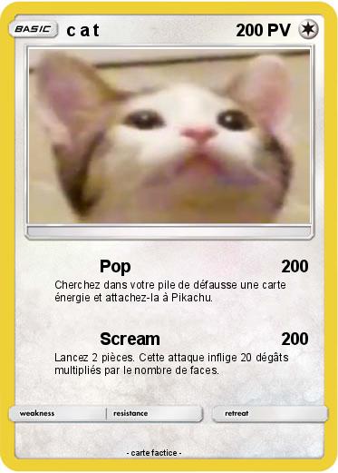 Pokemon c a t