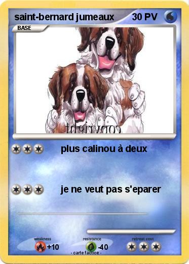 Pokemon saint-bernard jumeaux