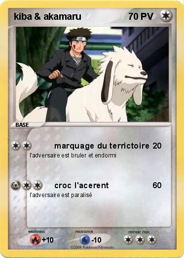 Pokemon kiba & akamaru