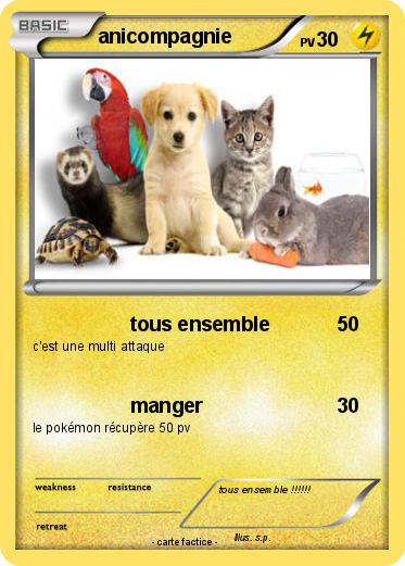 Pokemon anicompagnie