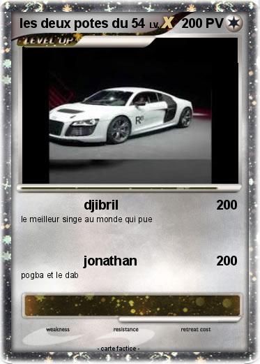 Pokemon les deux potes du 54