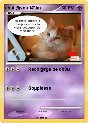 Pokemon chat @voir f@im