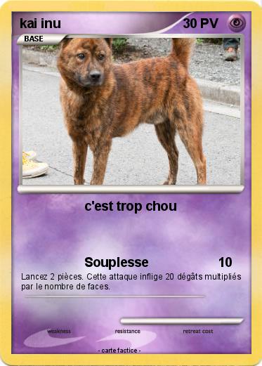 Pokemon kai inu