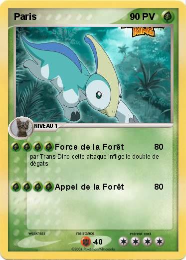 Pokemon Paris