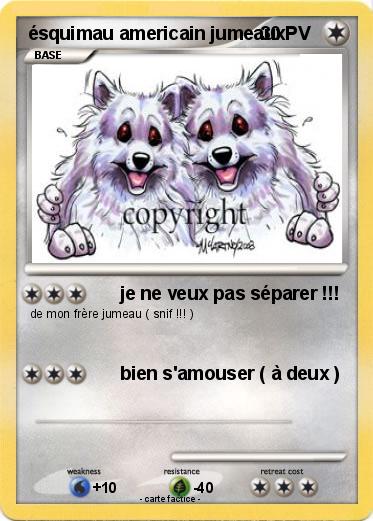 Pokemon ésquimau americain jumeaux