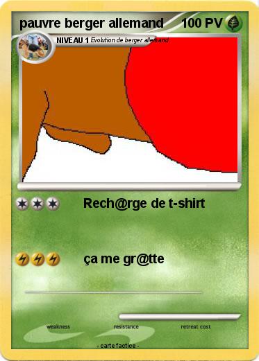 Pokemon pauvre berger allemand