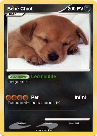 Pokemon Bébé Chiot