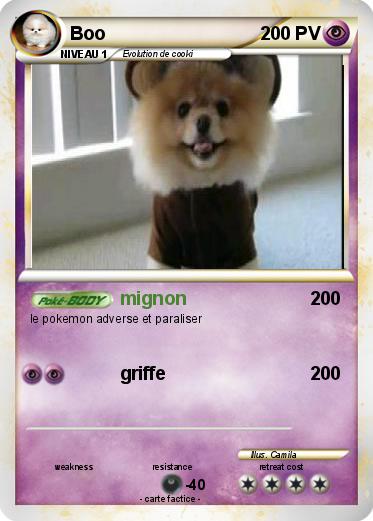 Pokemon Boo