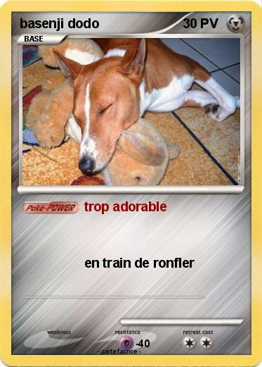 Pokemon basenji dodo