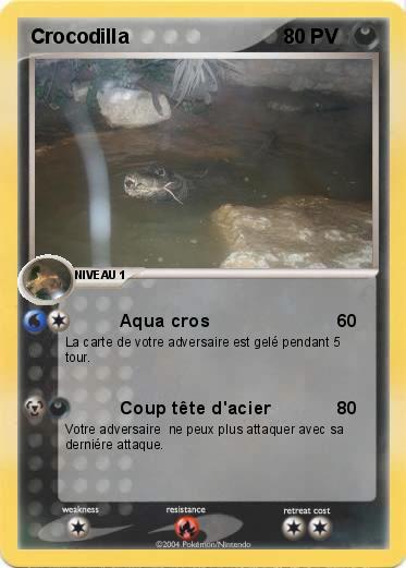Pokemon Crocodilla