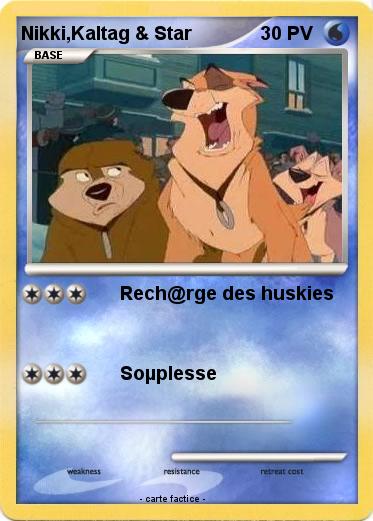Pokemon Nikki,Kaltag & Star