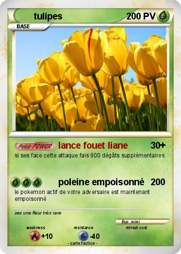 Pokemon tulipes