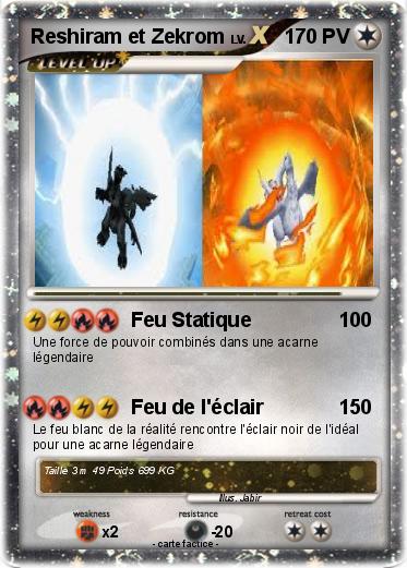 Pokemon Reshiram et Zekrom