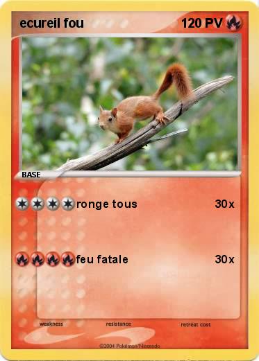Pokemon ecureil fou