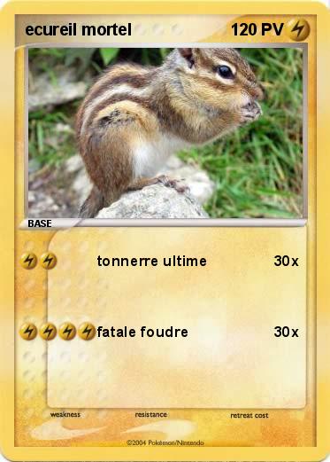 Pokemon ecureil mortel