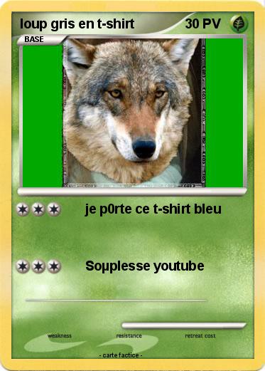 Pokemon loup gris en t-shirt